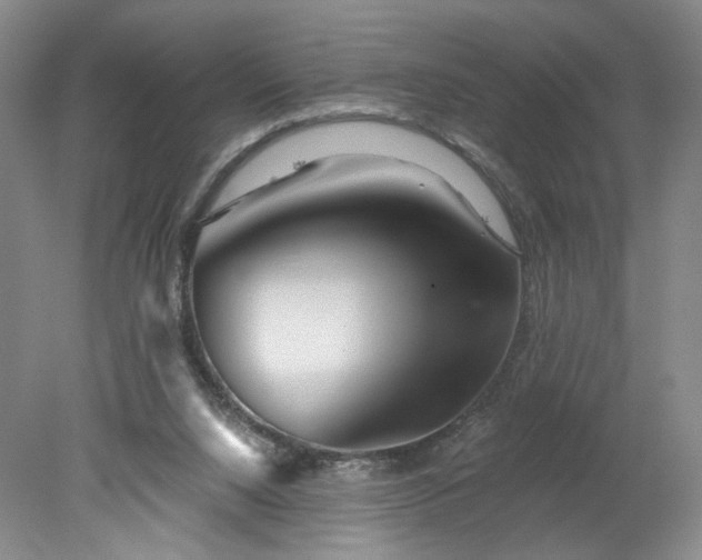 X0000078270064200611101118