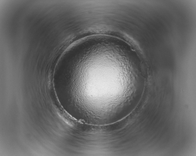 X0000078270065200611101118
