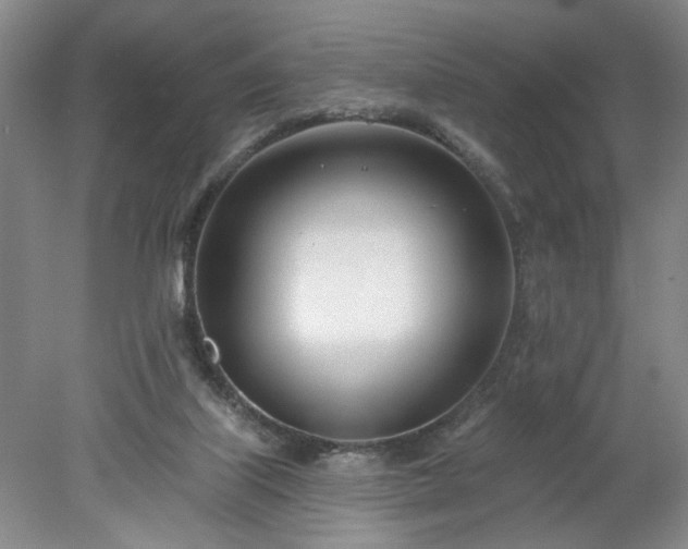 X0000078270067200611101118