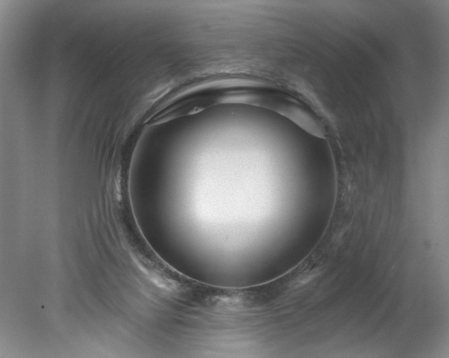 X0000078270068200611101118