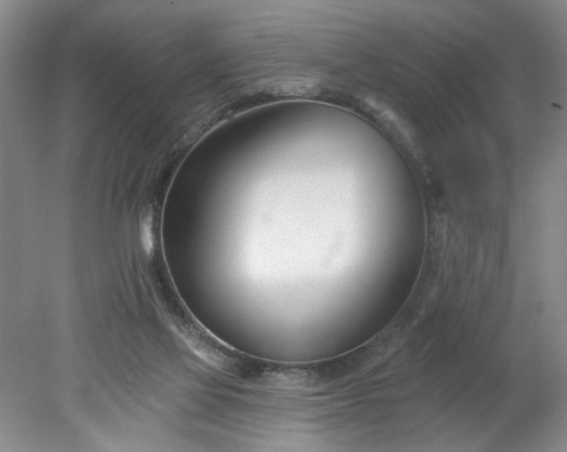 X0000078270069200611101118
