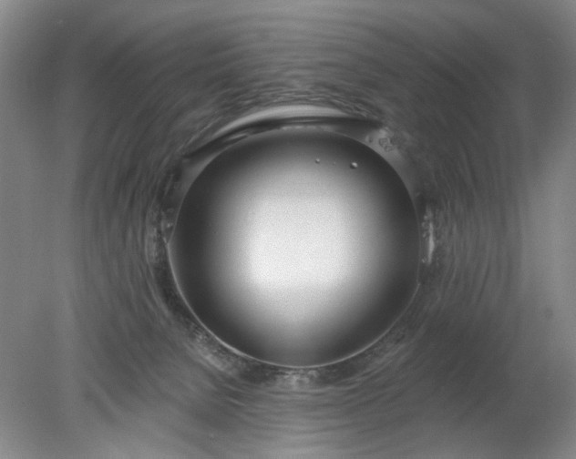 X0000078270080200611101118