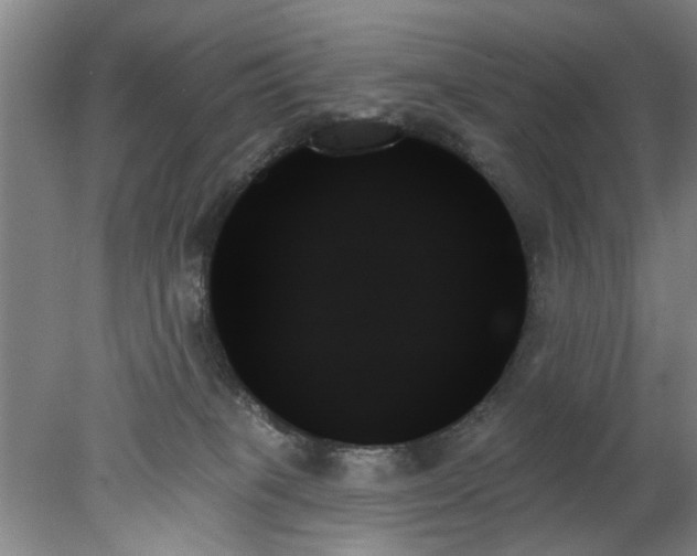 X0000078270085200611101118
