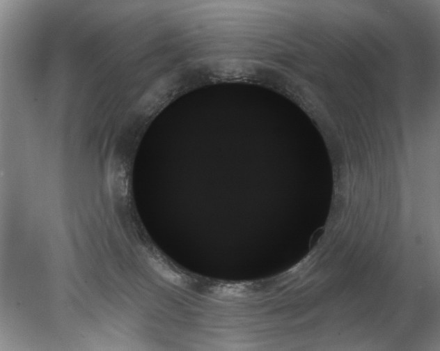 X0000078270086200611101119
