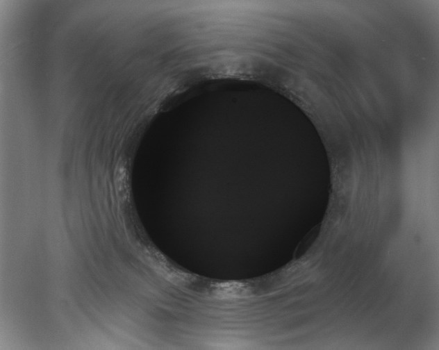 X0000078270087200611101119