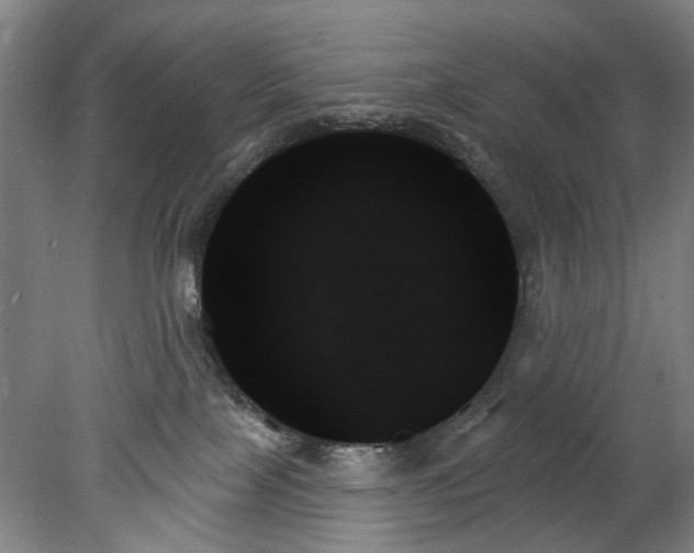 X0000078270089200611101119