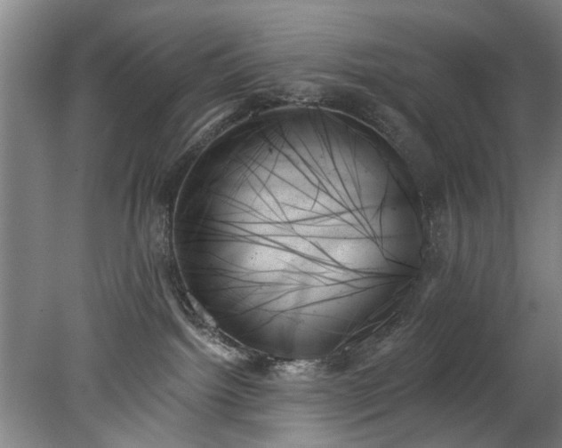 X0000078270092200611101119