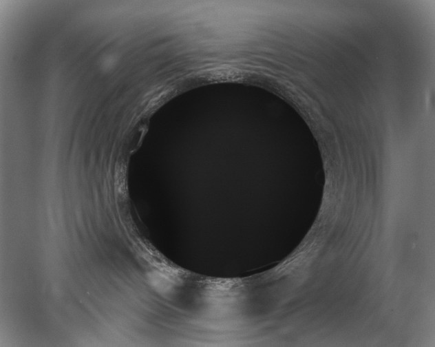 X0000078270096200611101119