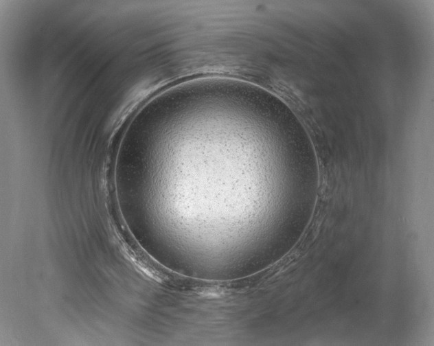X0000078270098200611101118