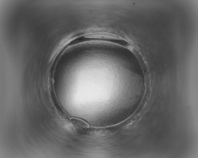 X0000078270103200611101118