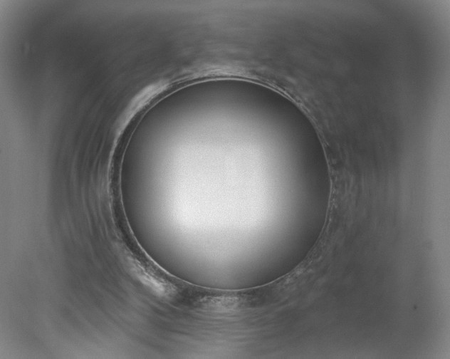 X0000078270104200611101118