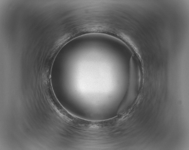 X0000078270105200611101118