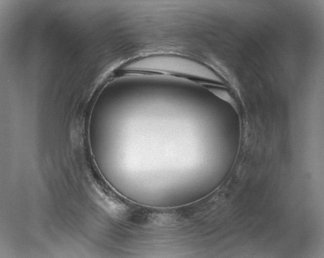 X0000078270107200611101118