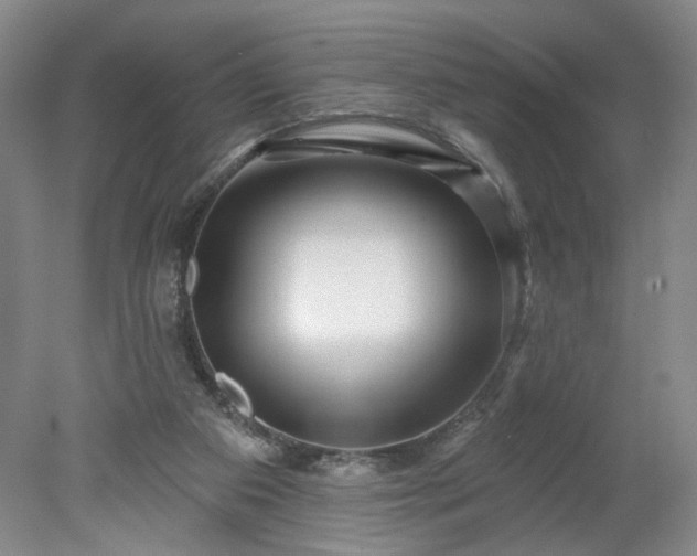 X0000078270113200611101118