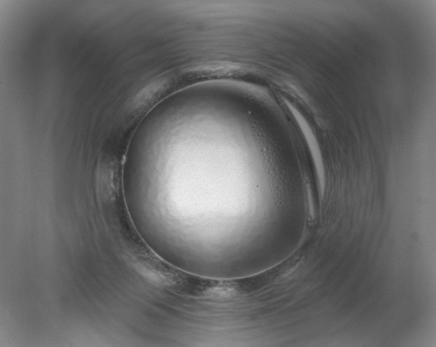 X0000078270119200611101118