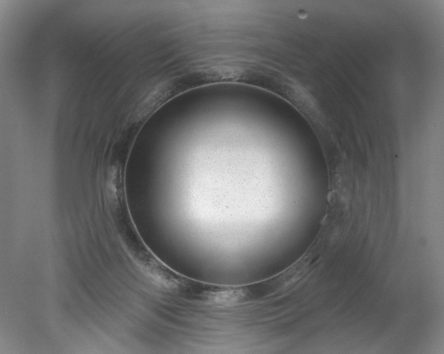 X0000078270122200611101117