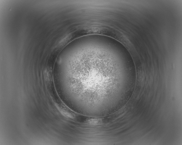 X0000078270126200611101117