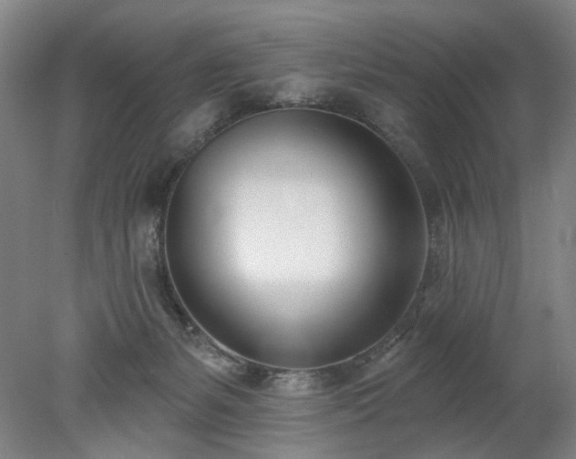 X0000078270127200611101117