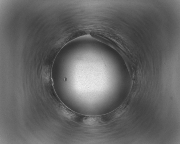X0000078270129200611101117