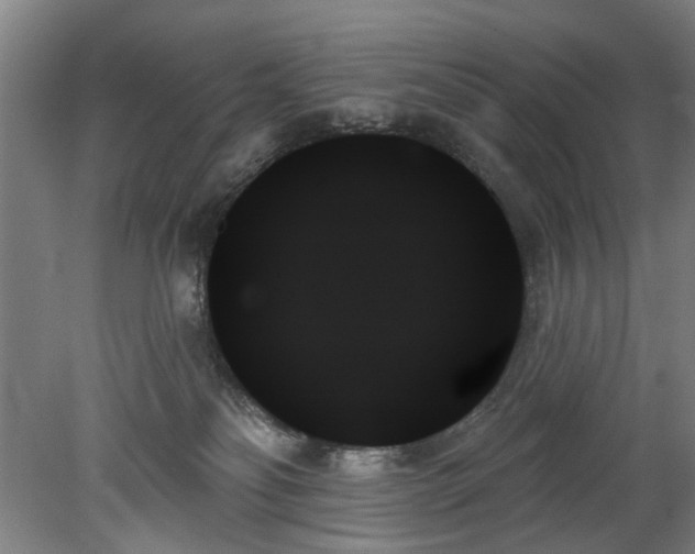 X0000078270134200611101117