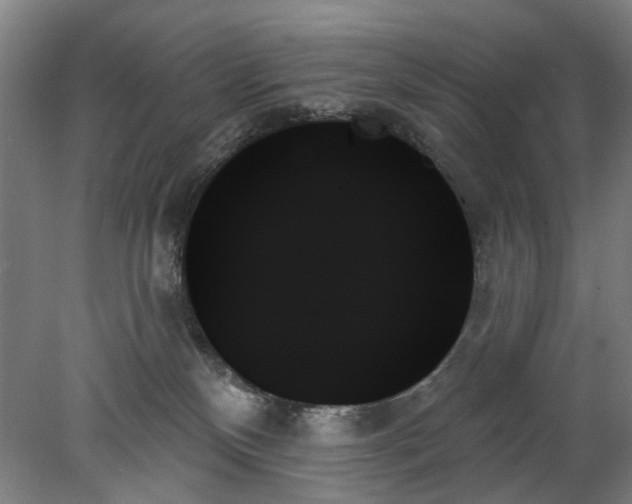 X0000078270136200611101117