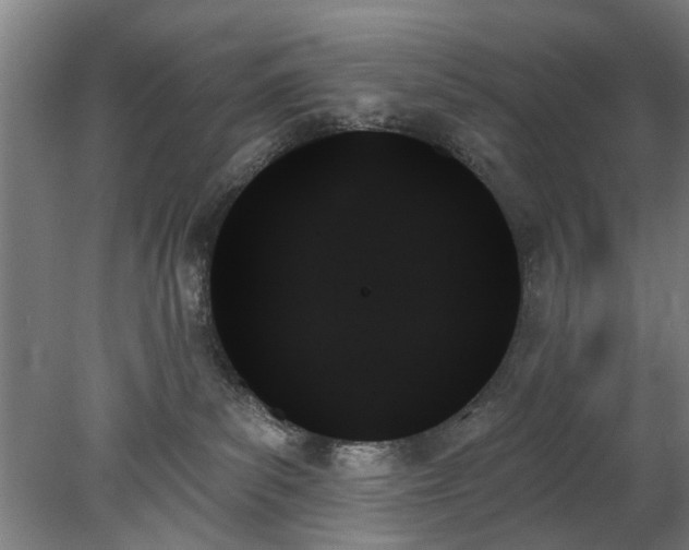 X0000078270139200611101117