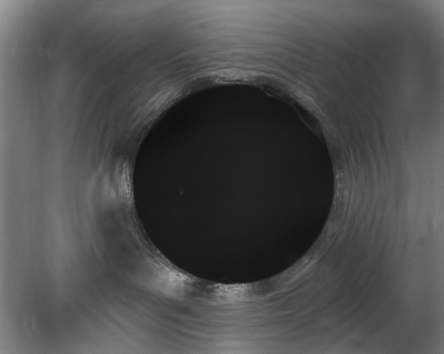 X0000078270143200611101117