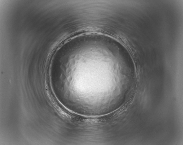 X0000078270145200611101116