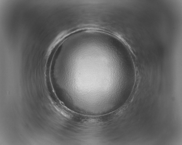 X0000078270151200611101116