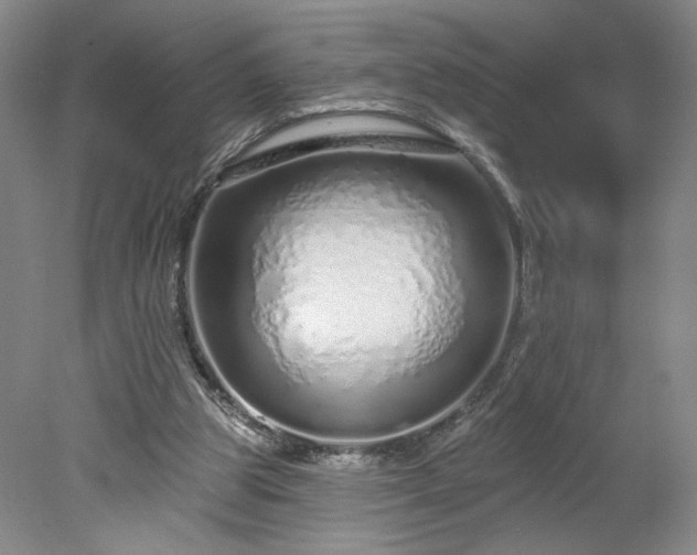 X0000078270153200611101116