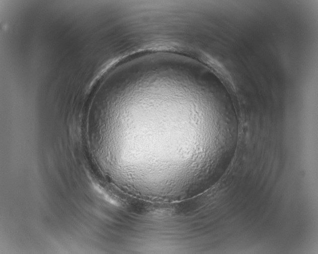 X0000078270155200611101116