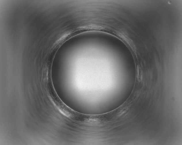 X0000078270157200611101116