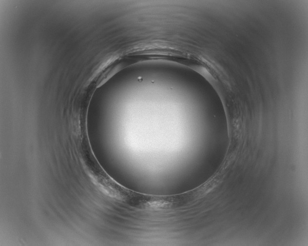 X0000078270158200611101117