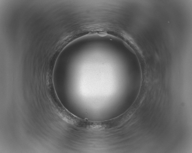 X0000078270161200611101117