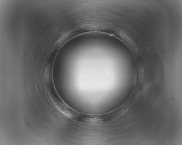 X0000078270165200611101117
