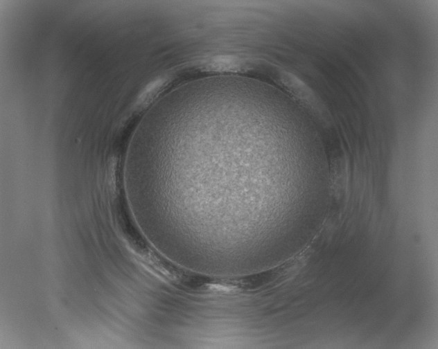 X0000078270167200611101117