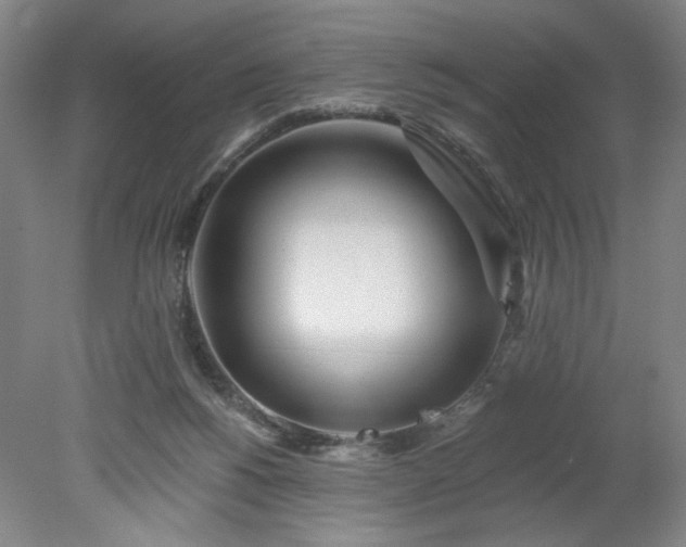 X0000078270168200611101117
