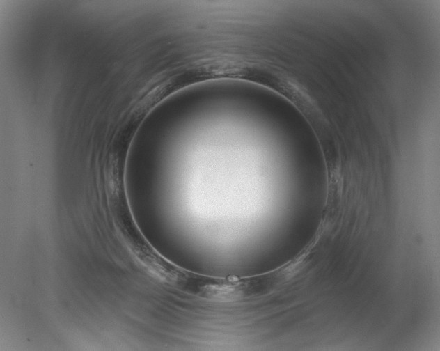 X0000078270170200611101117