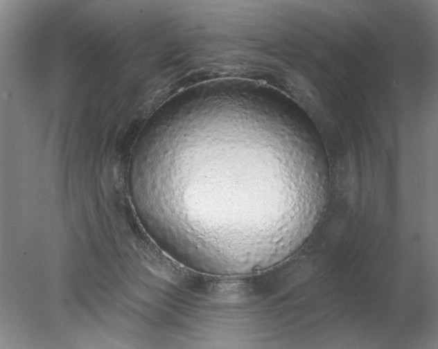 X0000078270173200611101117