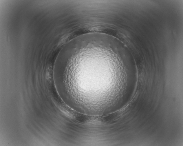X0000078270175200611101117