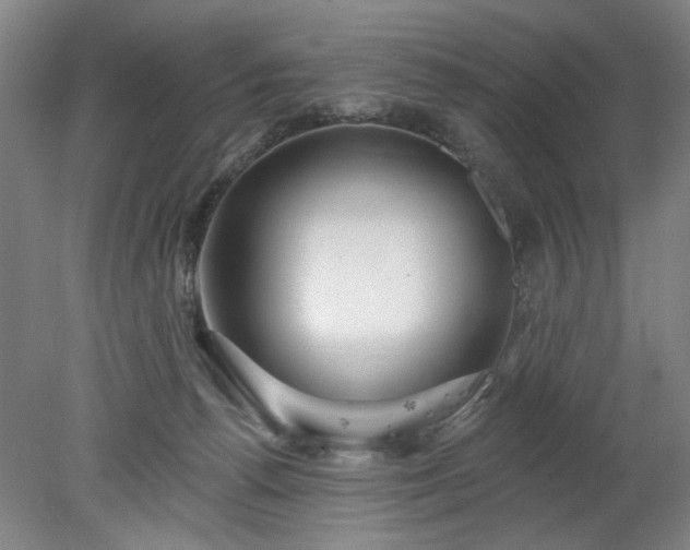 X0000078270176200611101117