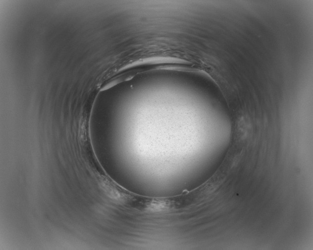 X0000078270177200611101117
