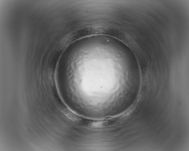 X0000078270178200611101117