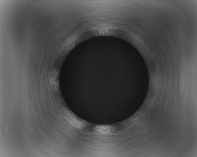 X0000078270181200611101117