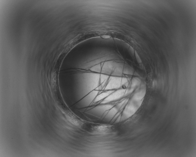 X0000078270184200611101117