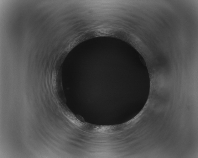 X0000078270186200611101117