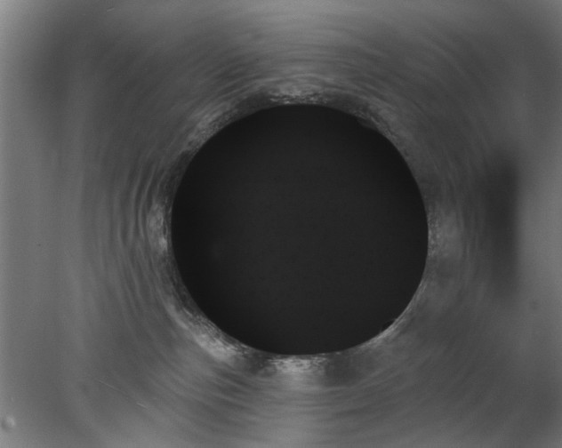 X0000078270187200611101117
