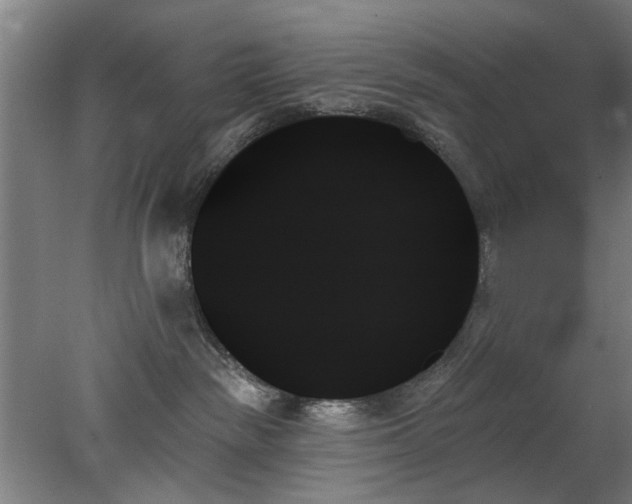 X0000078270189200611101117