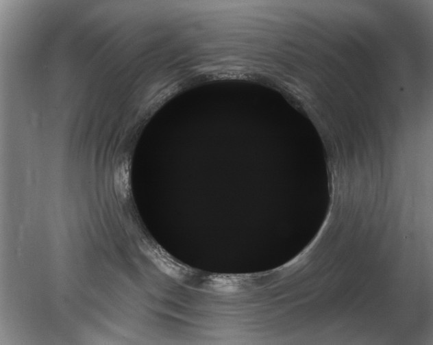 X0000078270190200611101117