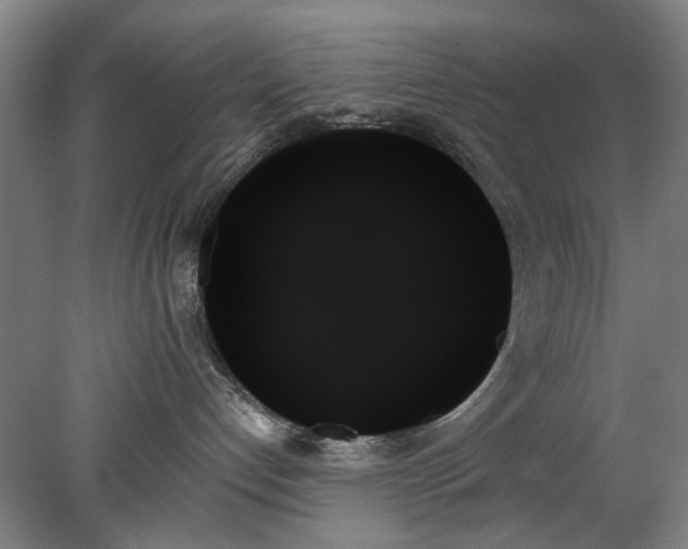 X0000078270192200611101117